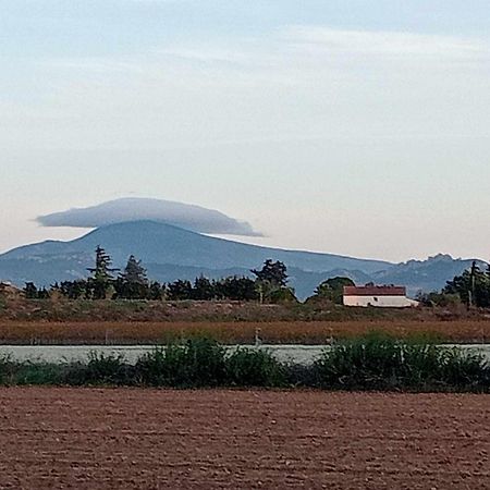 Chambre D'Hotes Les Garrigues Piolenc Luaran gambar